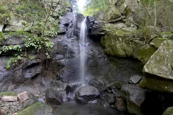 伊賀見不動滝・主瀑